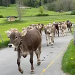 Hemerhof Oberstdorf *