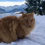 Hemerhof Lägenhet Oberstdorf