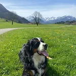 Hemerhof * Oberstdorf