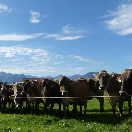 Hemerhof - Appartement Oberstdorf