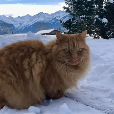 Hemerhof - Appartement Oberstdorf