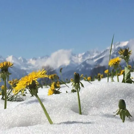 Hemerhof - Apartman Oberstdorf
