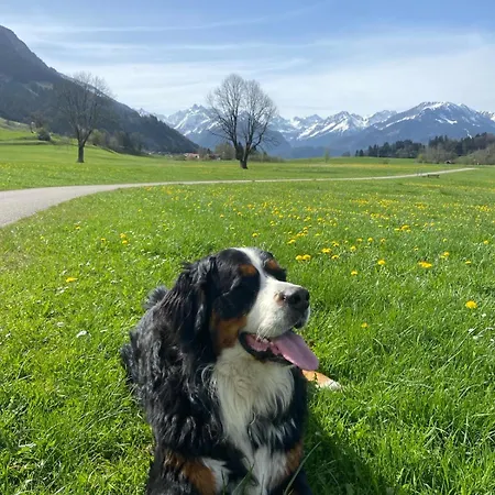 Hemerhof * Oberstdorf