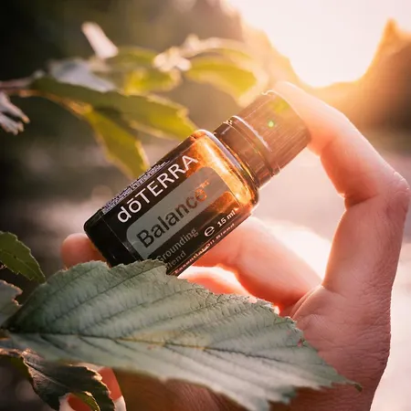 Hemerhof - Appartement