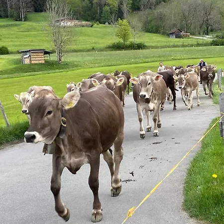 Hemerhof - *