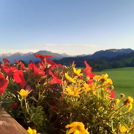 Hemerhof