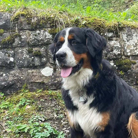 Hemerhof - Oberstdorf