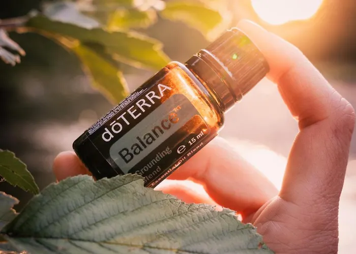 Hemerhof - Appartamento